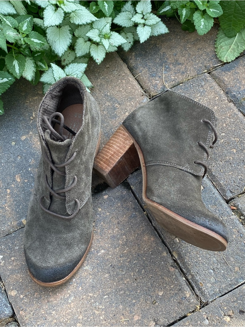 TOMS Taupe Suede Lace-Up Ankle Booties Sz 6.5 NWOB Summer Sale